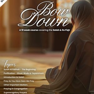 Bow Down - Sisters Tarbiyah