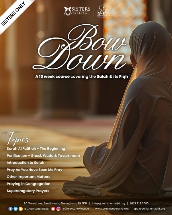 Bow Down - Sisters Tarbiyah