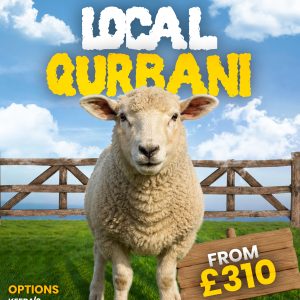 Local Qurbani 2026 - Sheep